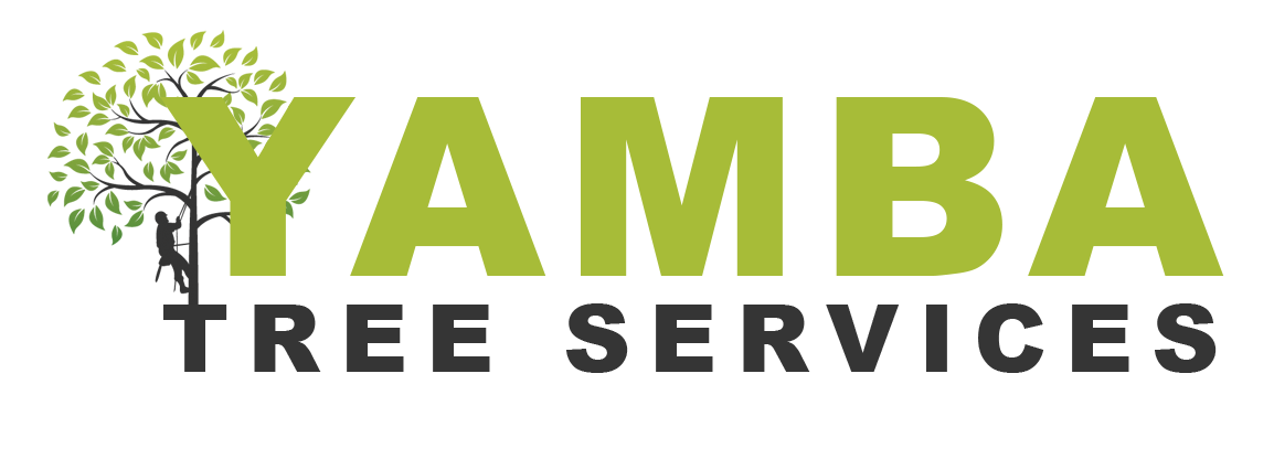 Yamba Tree Services